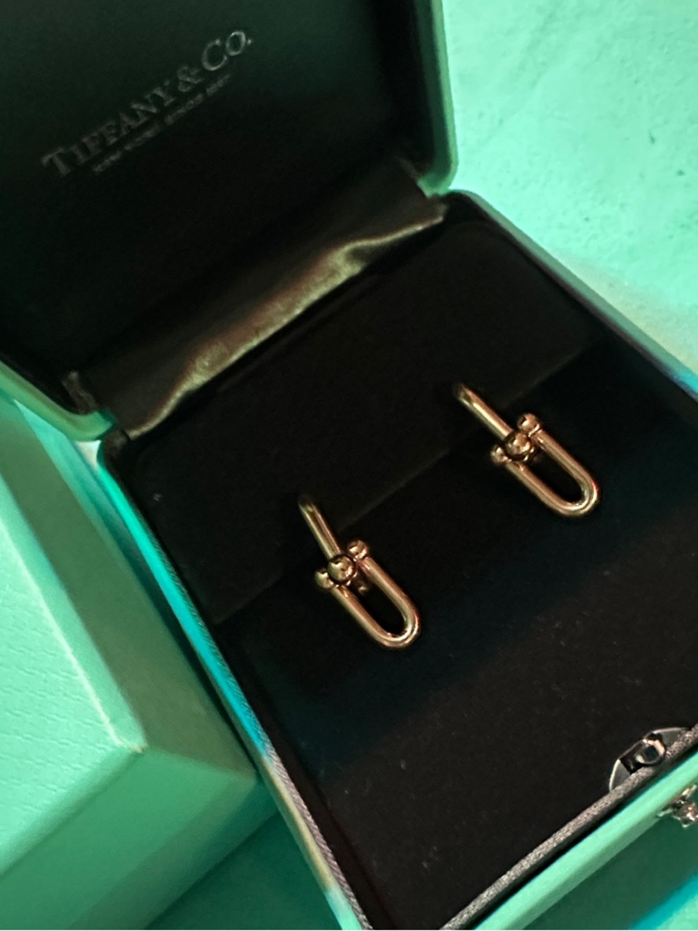 Tiffany & Co. Gold Hardware Medium Earrings